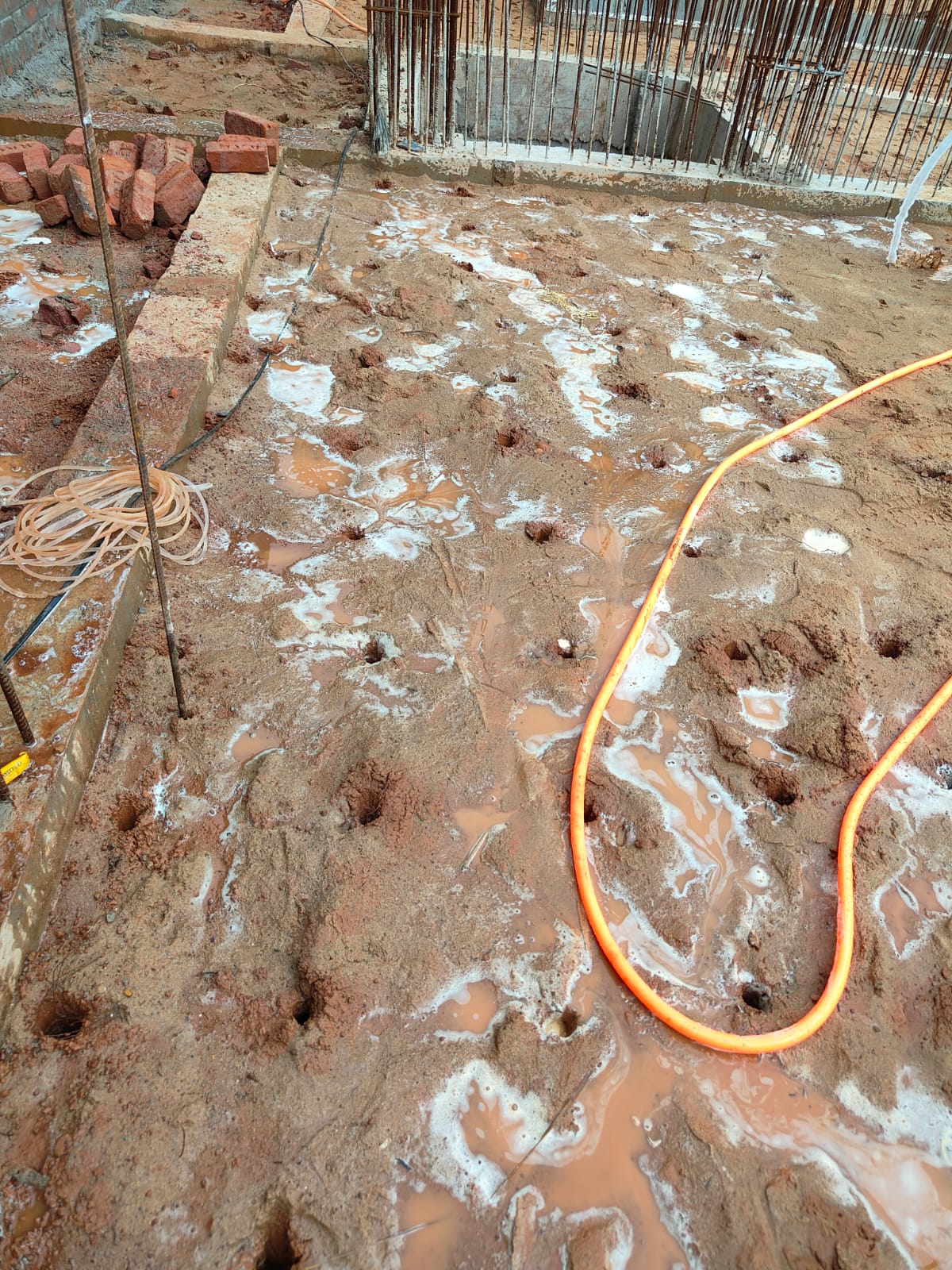 AD Pest Control Treatment 11